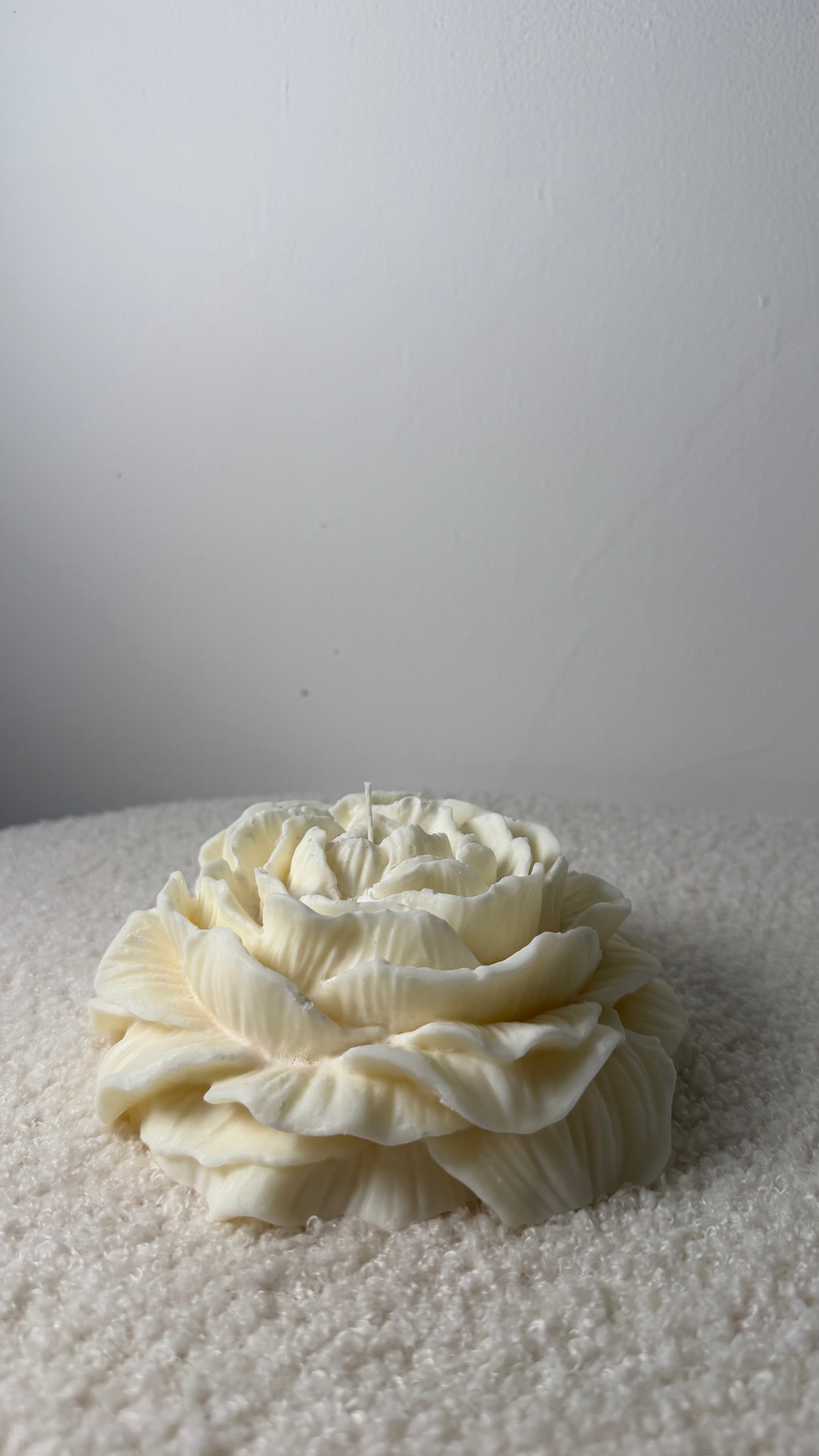Large Peony Rose