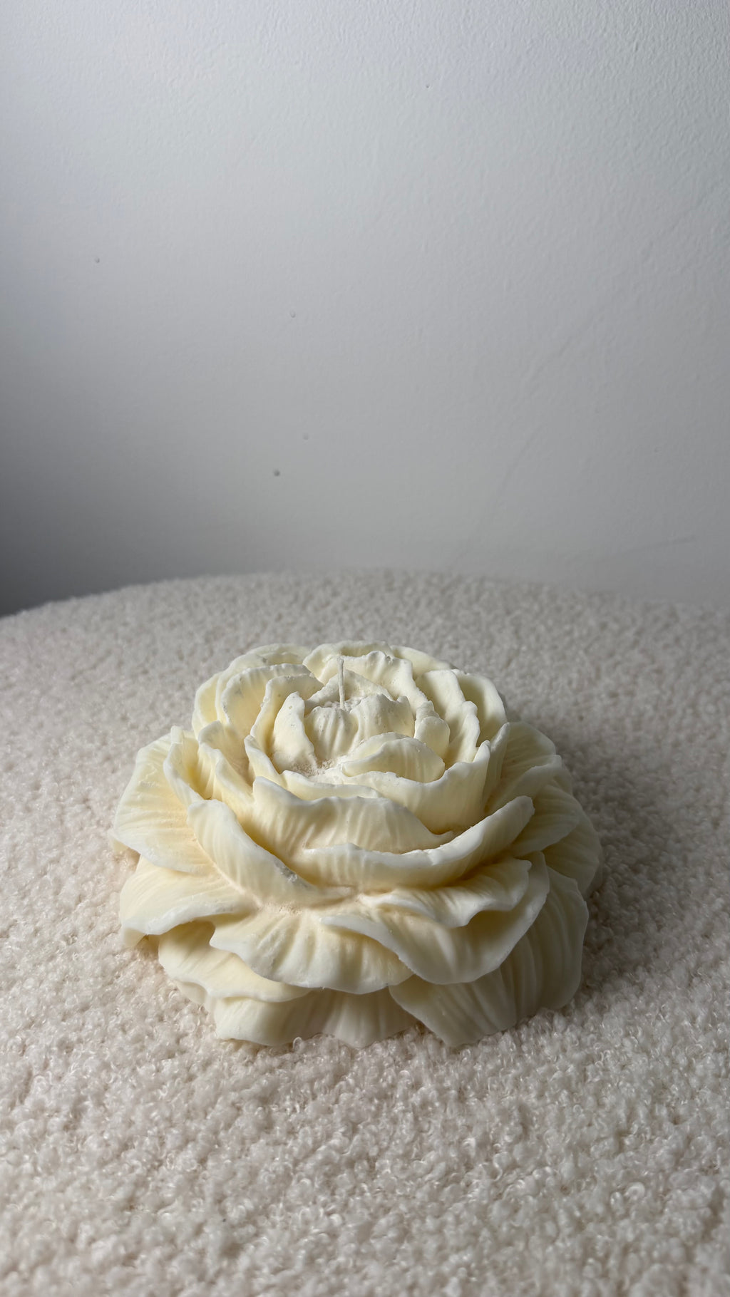 Large Peony Rose