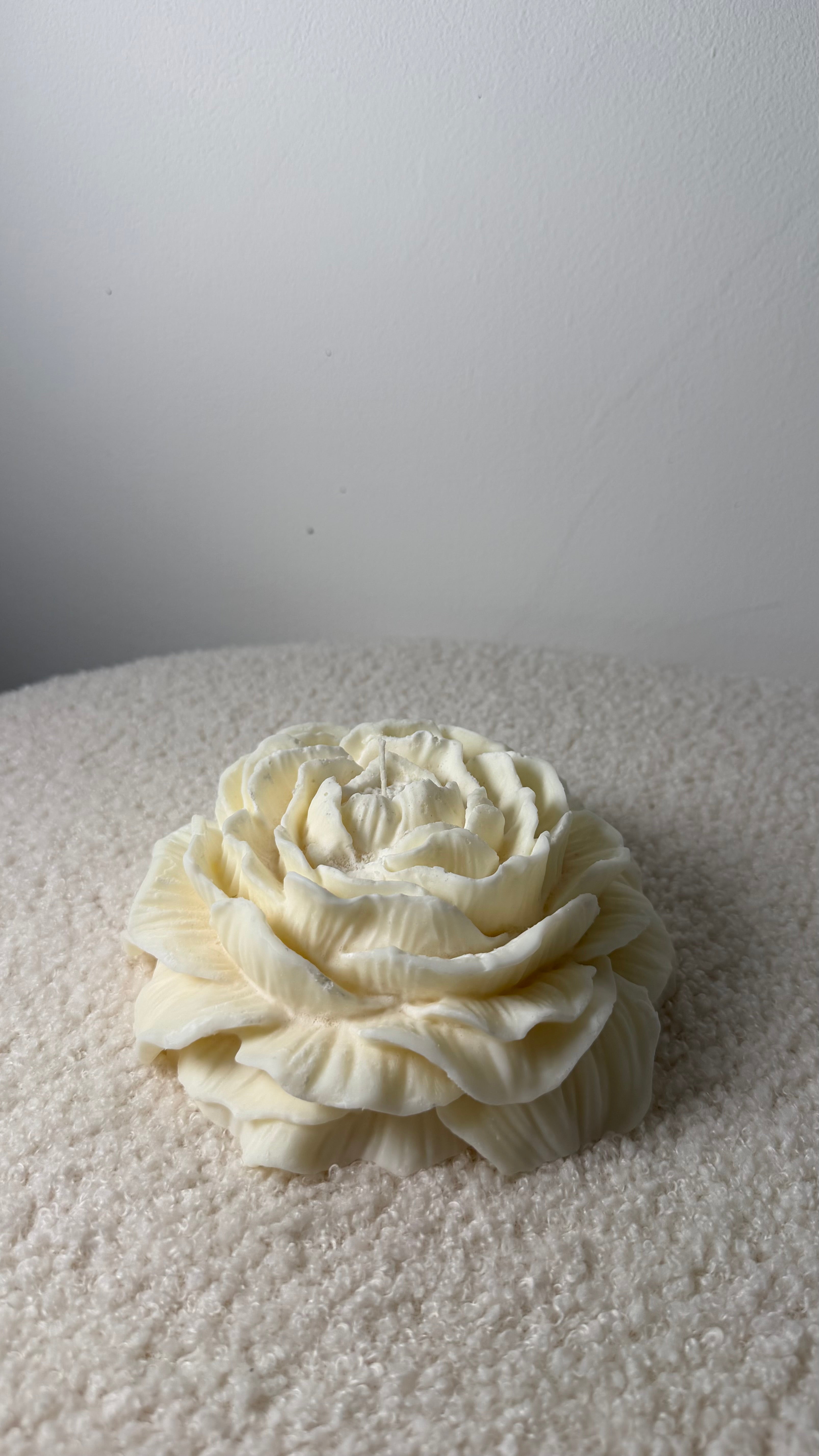 Large Peony Rose